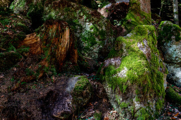 a hike through the wild Ysperclammy