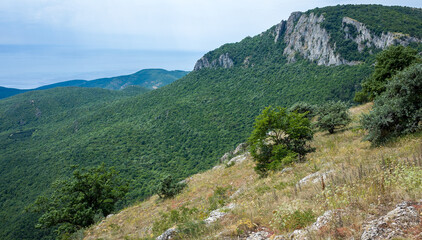 Fototapeta na wymiar View of the Black Sea coast from the top of the plateau.