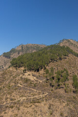 A mountain trail going up the hill top with trees on the top on a bright sunny day