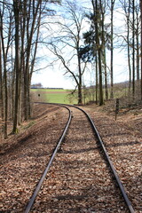 Bahngleise verlaufen in einer Kurve vom Betrachter weg