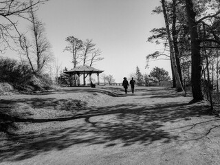 winter in the park