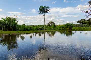 Obraz premium Paisagem. Foto do lago do Parque Balneário rodeado de árvores com céu azul com algumas nuvens.