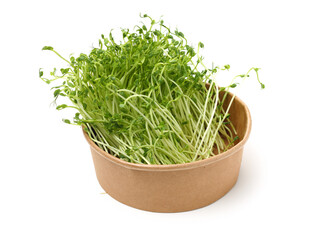Bunch of snow pea microgreen on white background