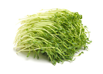 Bunch of snow pea microgreen on white background
