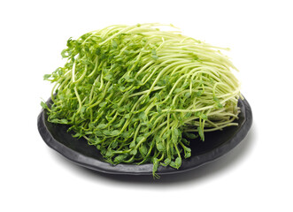 Bunch of snow pea microgreen on white background