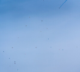 a blue sky full with skydivers falling down to earth