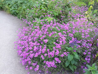 Oxford Botanic Garden