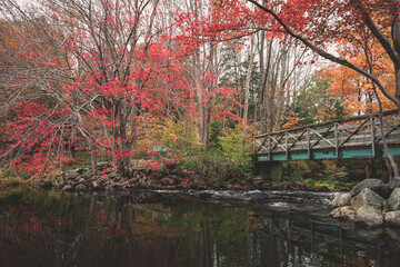 autumn in the park