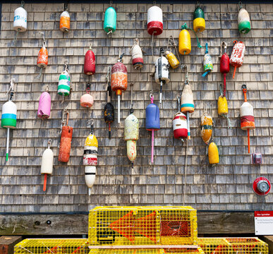 Vintage lobster buoys hanging on a weathered wall with yellow traps on the bottom