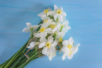 Bunch of white daffodils on blue paint wooden background