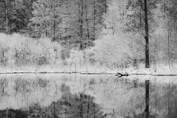 Rolgordijnen Winter landscape with a pond. © Dziurek