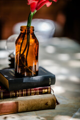 Flower Vase On Books