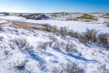 Snowy and ice winter landscape at the Amsterdamse Waterleidingduinen