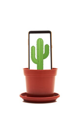 smartphone cactus in a pot