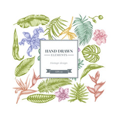 Square floral design with pastel monstera, banana palm leaves, strelitzia, heliconia, tropical palm leaves, orchid