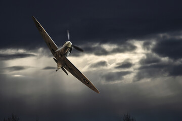 Spitfire Early Morning Low Pass - obrazy, fototapety, plakaty