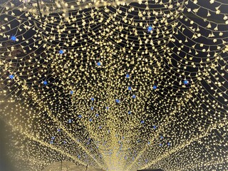 Illuminated Tunnel - Nabana no Sato