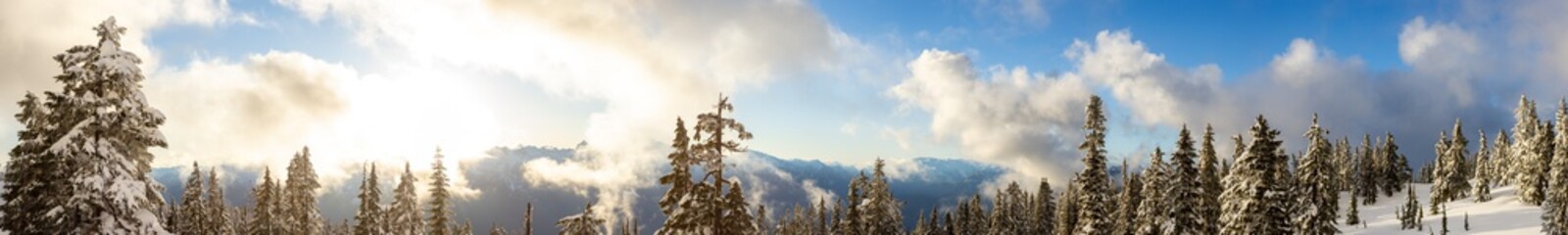 Panoramic View of Canadian Nature Landscape on top of snow covered mountain and green trees during spring sunset. Elfin Lake in Squamish, North of Vancouver, British Columbia, Canada.