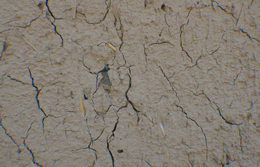Clay walls