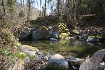 Naklejka na ściany i meble stream in the forest of mountain in Tuscany region, Italy