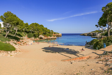 Landscape with trees on Cala D´Or, Mallorca ,Espania