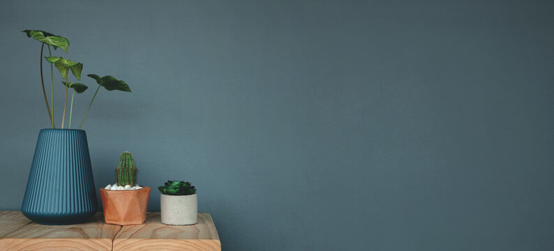 Green Plant In Vase And Pot On Table Against The Grey Wall. Decorative A House By Nature, Clean And Minimalist Style