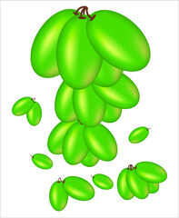 vector abstract having grapes on white background