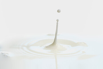splash on the surface of milk from a drop of milk on a white background