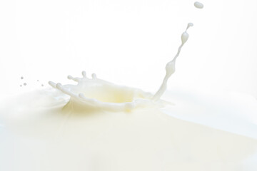 splash on the surface of milk and splashes on a white background