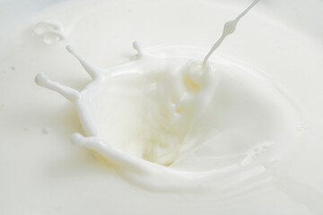 splash on the surface of milk and splashes on a white background