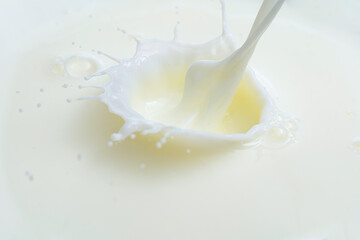 splash on the surface of milk and splashes on a white background