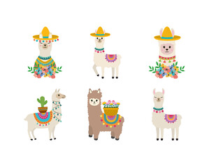 set funny llama © Stockgiu