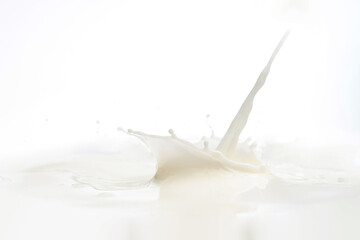 splash on the surface of milk and splashes on a white background