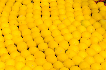 pattern of lemon citrus fruit