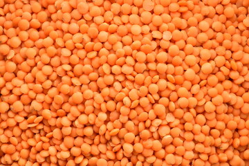 Red organic, uncooked lentils , close-up, top view.