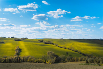 Beautiful landscape, green fields and blue sky