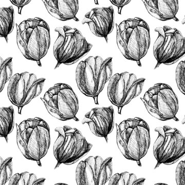 seamless background with tulip flowers, hand drawn ornament
