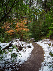 Winter Trail in West Virginia by a Gorge