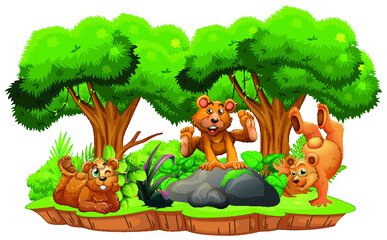 vector graphics for production,funny bears, children's picture, acrobats in the forest