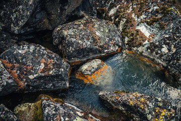 Scenic nature background of turquoise clear water stream among rocks with mosses and lichens. Atmospheric mountain landscape with mossy stones in transparent mountain creek. Beautiful mountain stream.