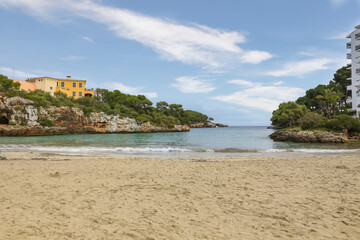  Landscape with trees on Cala dòr ,mallorca ,Espania,Europe