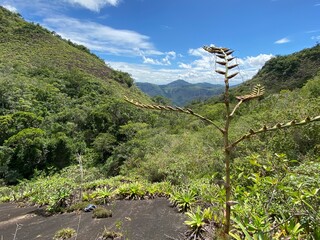 Paisagem - Alto Misterioso - Santa Julia - Brazil - Espirito Santo