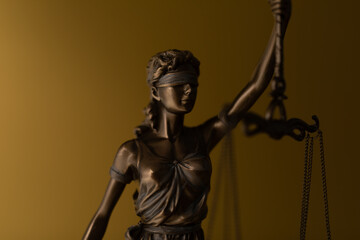 Obraz premium Labor Law Lawyer Legal Business Internet Technology Concept