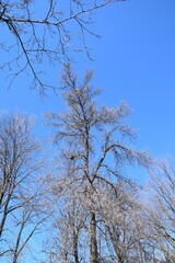 Windmill island on the north shore of Montreal