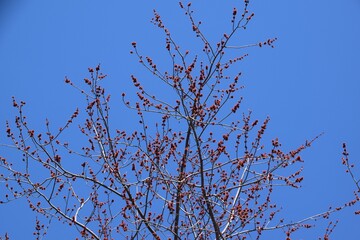 Windmill island on the north shore of Montreal