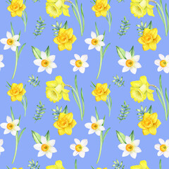 Watercolor seamless pattern with daffodils flowers. Hand drawn botanical illustration, gardening repeat design on blue background. Perfect for fabric, wrapping paper, textile