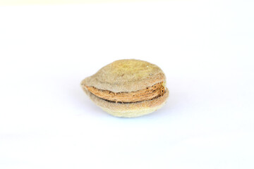 Almond with kernels Isolated on white background. Raw fresh almonds with shell.