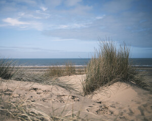 sand dunes on the beach