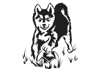  husky puppy playing with ball