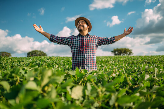 Farmer thanking for the harvest or rain. Soy plantation. Brazilian farm.
